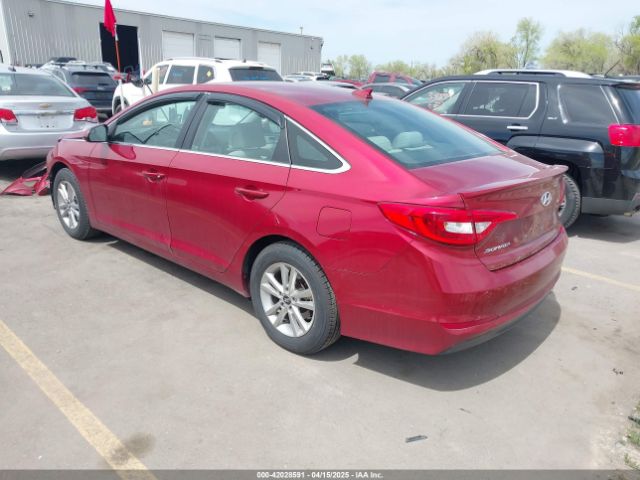 5NPE24AF4GH399504 Hyundai Sonata