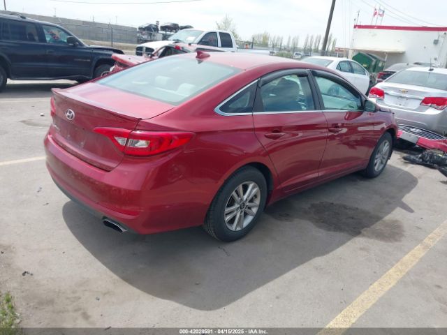 5NPE24AF4GH399504 Hyundai Sonata