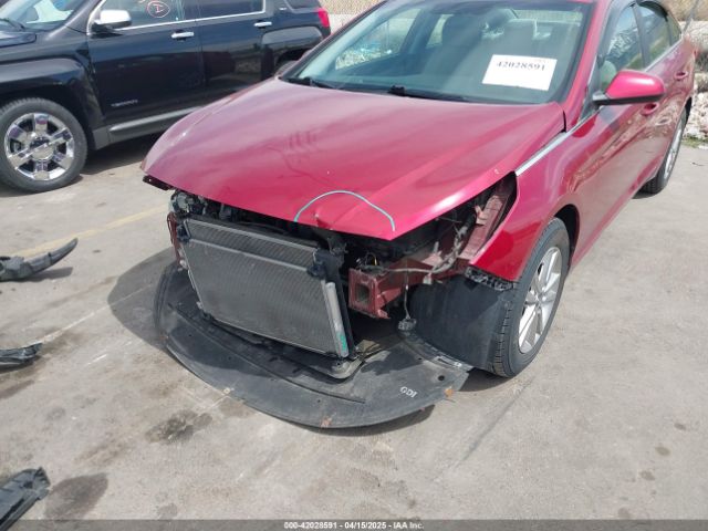 5NPE24AF4GH399504 Hyundai Sonata