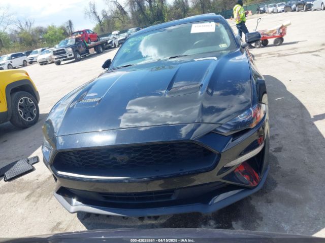 1FA6P8TH7L5169144 Ford Mustang Ecoboost Fastback