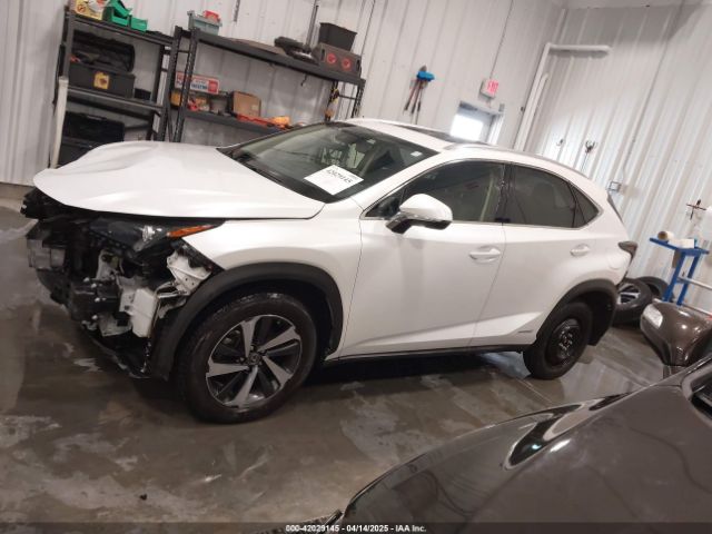 JTJGJRDZ4M5011467 Lexus NX 300H