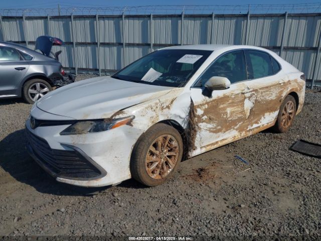 4T1C11AK0PU830184 Toyota CAMRY LE