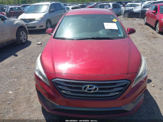 5NPE24AF3GH377431 Hyundai SONATA SE