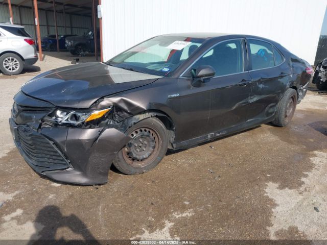 4T1B31HK2JU504728 Toyota Camry Hybrid Le
