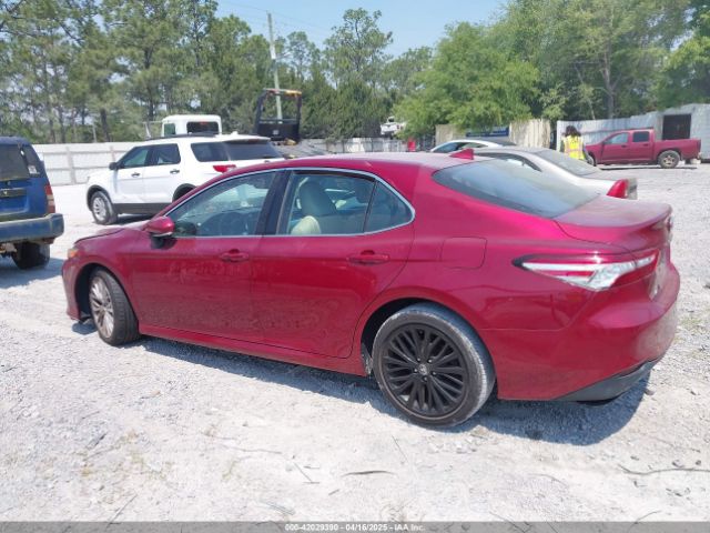 4T1F11AK4LU316894 Toyota CAMRY XLE