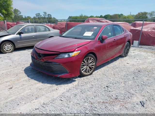 4T1F11AK4LU316894 Toyota CAMRY XLE