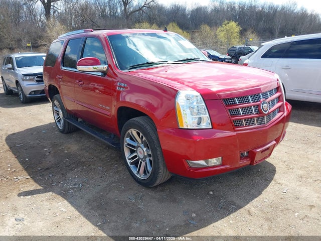 2013 CADILLAC ESCALADE 1GYS4CEF1DR296895 Photo 0