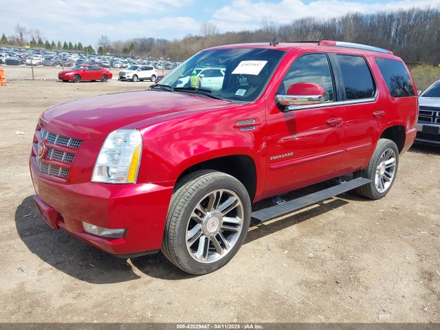 2013 CADILLAC ESCALADE 1GYS4CEF1DR296895 Photo 1