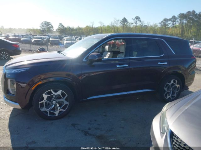 KM8R7DHE3MU273650 Hyundai Palisade Calligraphy