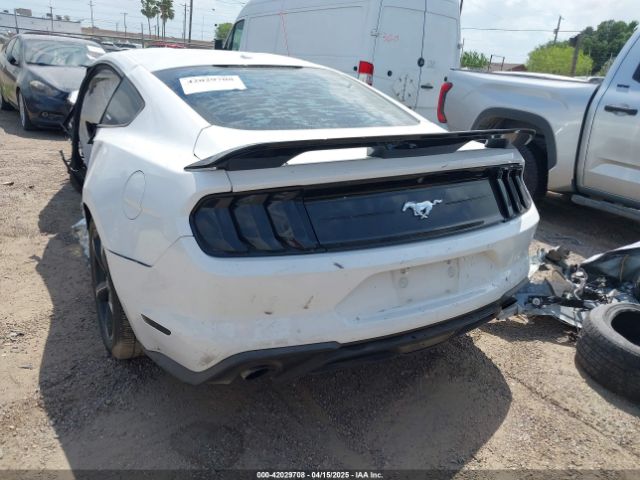 2019 FORD MUSTANG 1FA6P8TH6K5201807 Photo 2