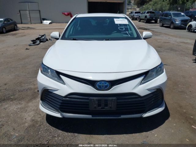 4T1C31AK7NU584970 Toyota Camry Le Hybrid