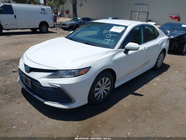 4T1C31AK7NU584970 Toyota Camry Le Hybrid
