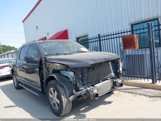 1FTEW1CP3KKF31901 Ford F-150 Xlt