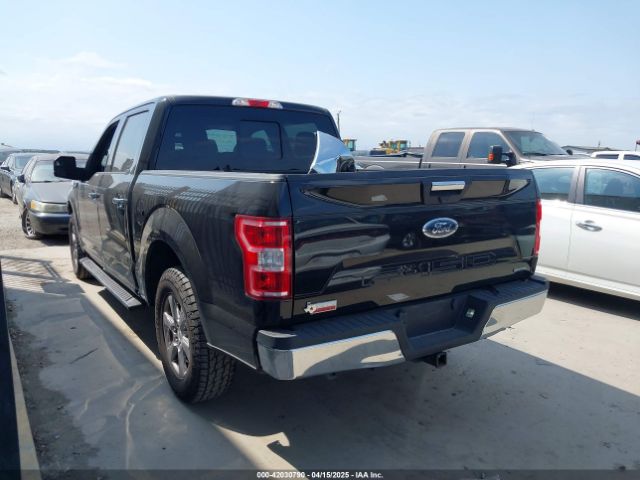 1FTEW1CP3KKF31901 Ford F-150 Xlt