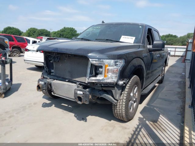1FTEW1CP3KKF31901 Ford F-150 Xlt