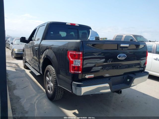 1FTEW1CP3KKF31901 Ford F-150 Xlt