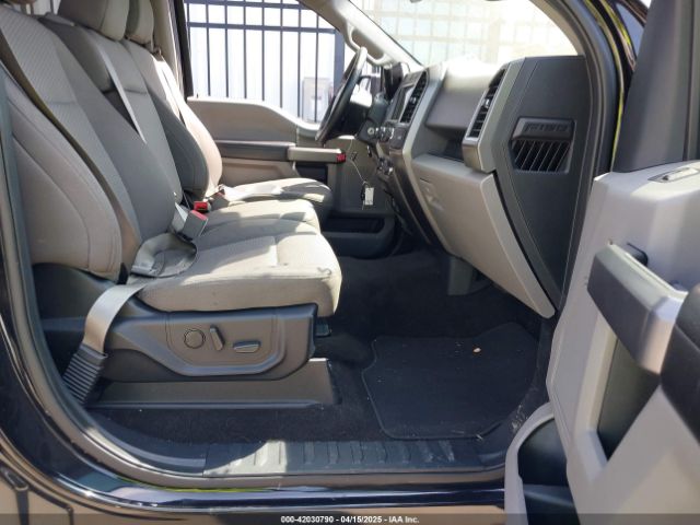 1FTEW1CP3KKF31901 Ford F-150 Xlt