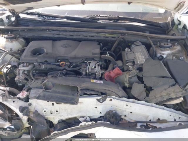 4T1C11AK6LU904895 Toyota CAMRY LE