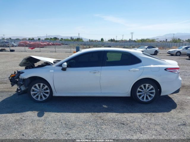 4T1C11AK6LU904895 Toyota CAMRY LE