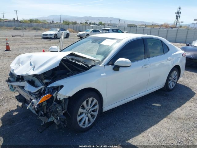 4T1C11AK6LU904895 Toyota CAMRY LE
