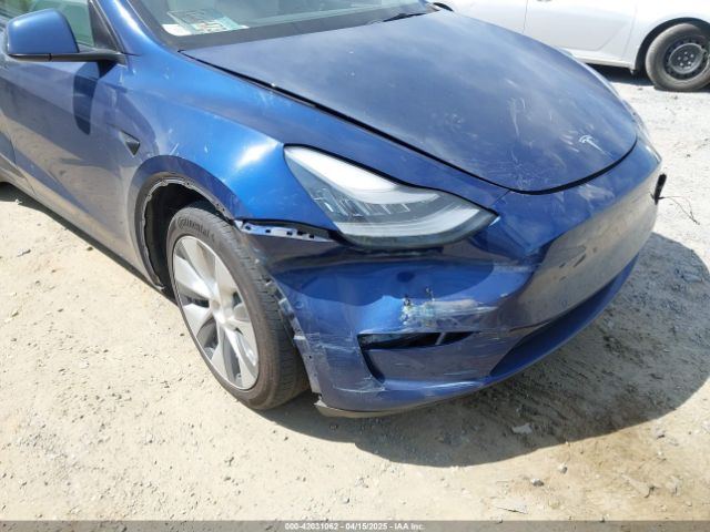 5YJYGDED8MF116359 Tesla Model Y Standard Range Rear-wheel Drive