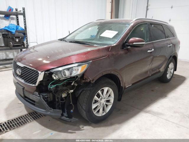 5XYPGDA57HG201508 KIA Sorento 3.3l Lx