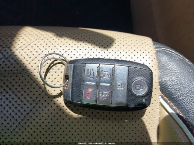 KNDMC5C19F6018139 KIA Sedona Sx