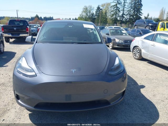 7SAYGDED5PF967493 Tesla Model Y Rwd