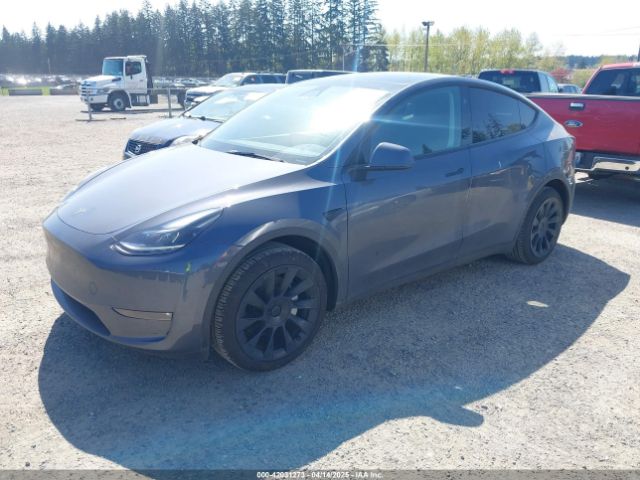 7SAYGDED5PF967493 Tesla Model Y Rwd