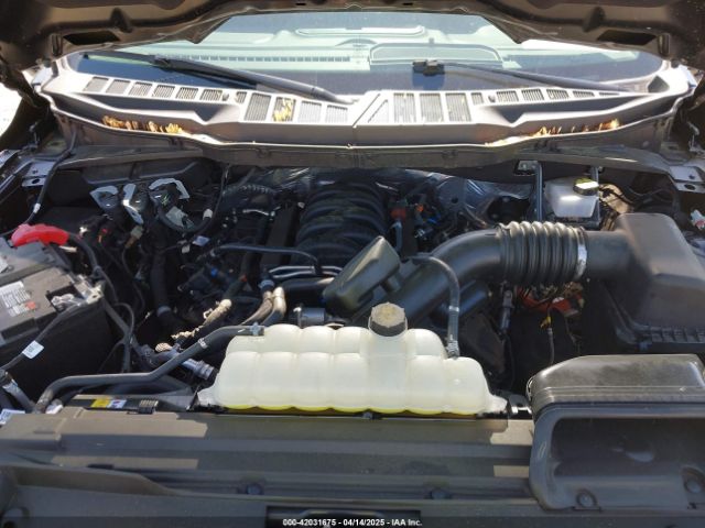 1FTFW3L50RFA93307 Ford F-150 Xlt