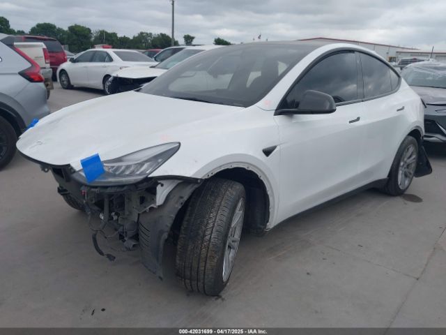 2022 TESLA MODEL Y 7SAYGDEE9NA013302 Photo 1
