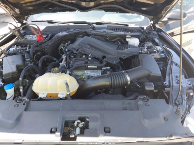 1FA6P8TH1M5137372 Ford Mustang Ecoboost Fastback