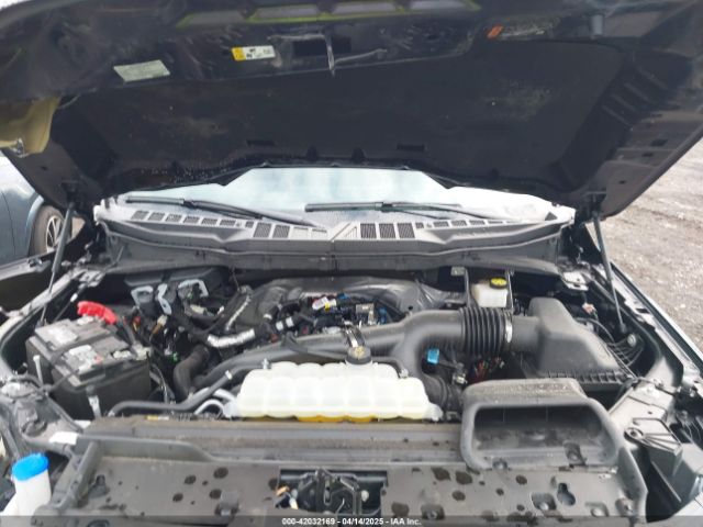 1FTEW3LP9RKD82724 Ford F-150 Xlt