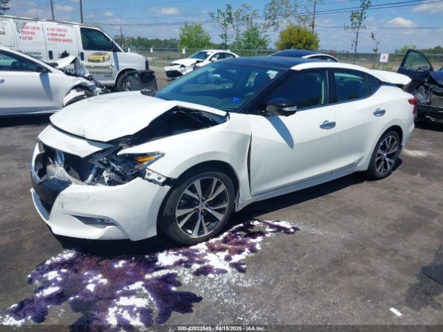 1N4AA6AP8HC453721 Nissan Maxima 3.5 Platinum