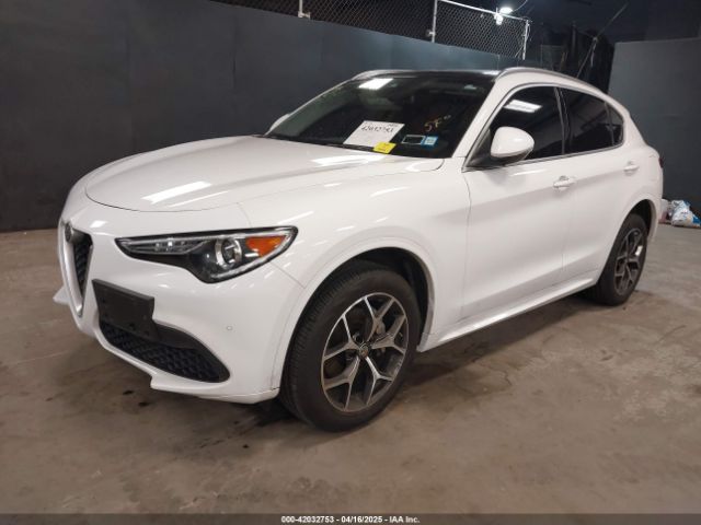 2021 ALFA ROMEO STELVIO ZASPAKBN6M7D19214 Photo 1