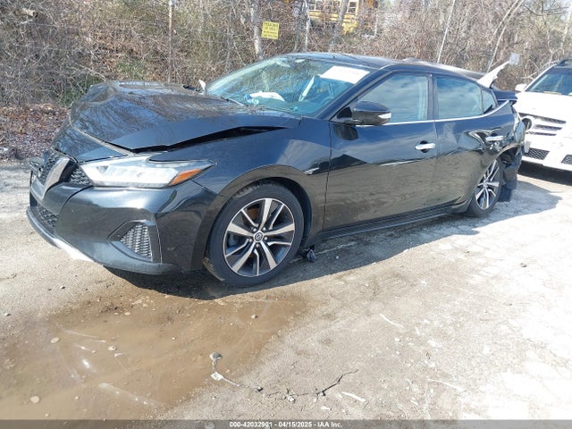 1N4AA6AV9KC373303 Nissan Maxima S/sl/sr/sv/platinum