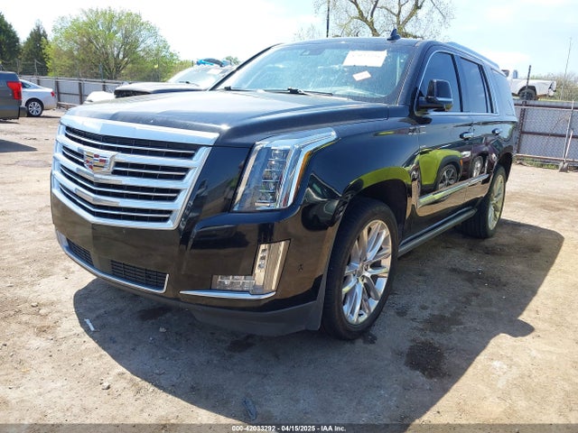 2019 CADILLAC ESCALADE 1GYS4DKJ5KR307487 Photo 1