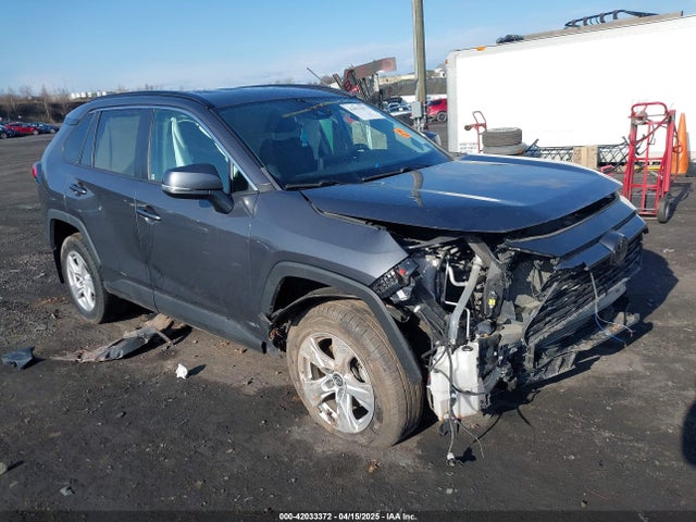Toyota Rav4 Xle 2020 2T3P1RFV2LW130185 Image 1