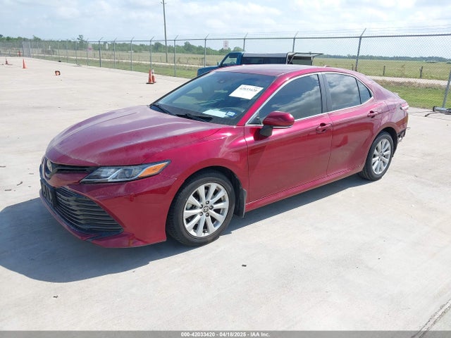 4T1L11AK3LU993342 Toyota CAMRY LE