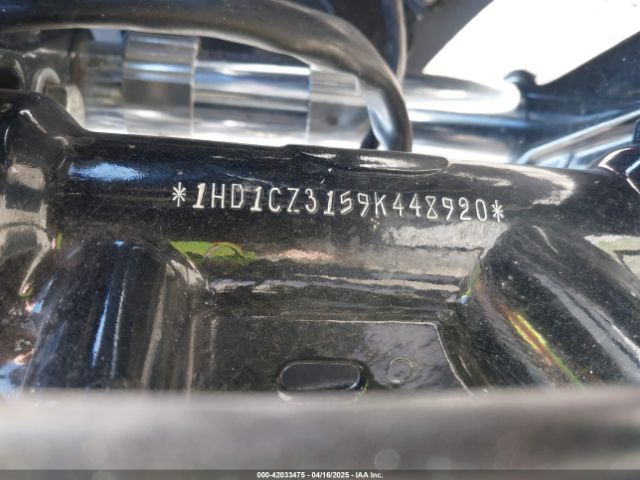 2009 HARLEY-DAVIDSON XL1200 1HD1CZ3159K448920 Photo 9