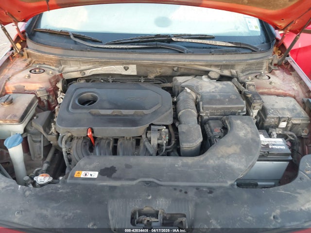 5NPE24AF6GH278733 Hyundai SONATA SE