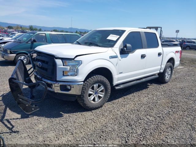 1FTEW1EPXFKE20880 Ford F-150 Xl