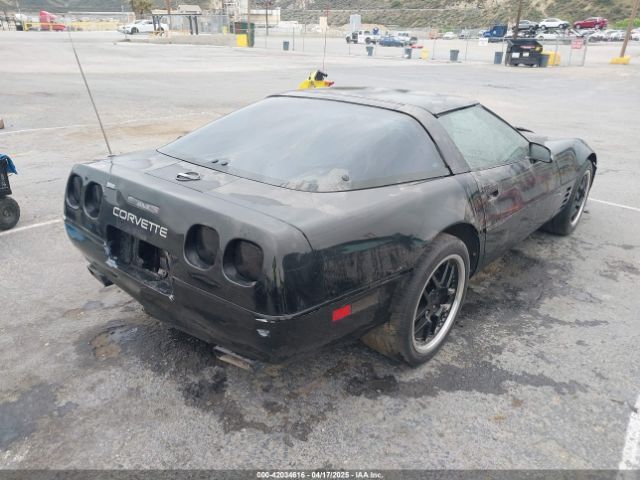1992 CHEVROLET CORVETTE 1G1YY23P8N5110765 Photo 3