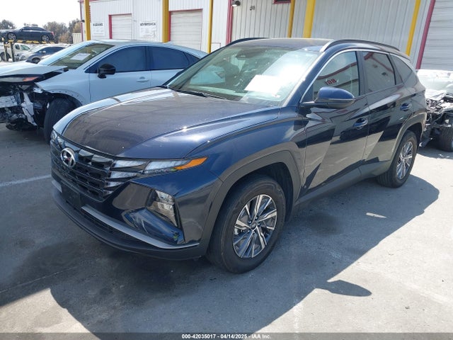 KM8JBCA16PU118186 Hyundai Tucson Hybrid Blue