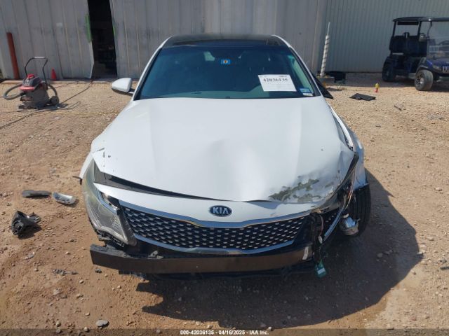 5XXGU4L31GG010576 KIA OPTIMA EX