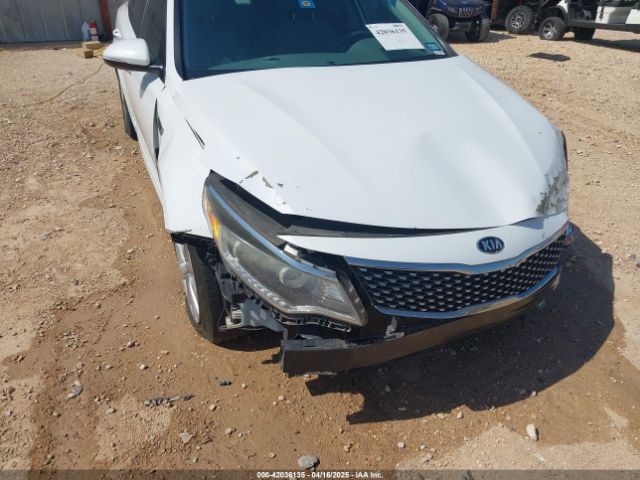5XXGU4L31GG010576 KIA OPTIMA EX