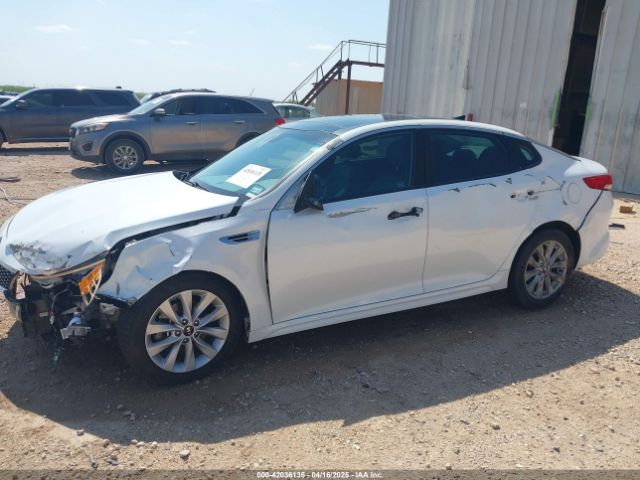 5XXGU4L31GG010576 KIA OPTIMA EX