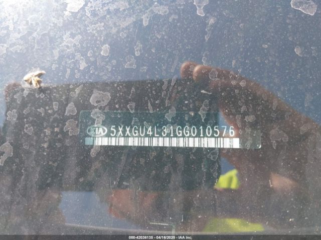 5XXGU4L31GG010576 KIA OPTIMA EX