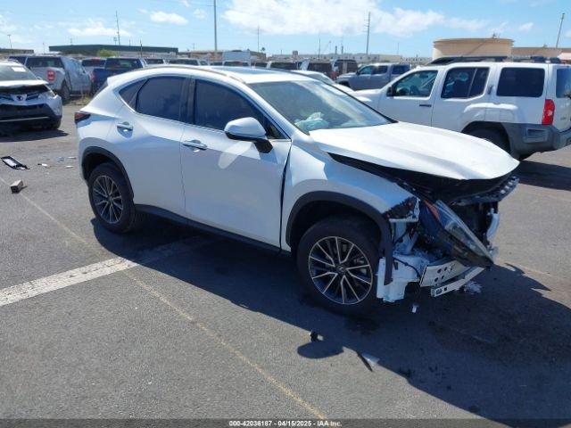 Продажа на аукционе авто 2025 Lexus Nx 250 Premium, vin: JTJGDCAZ2S2020658, номер лота: 42036187
