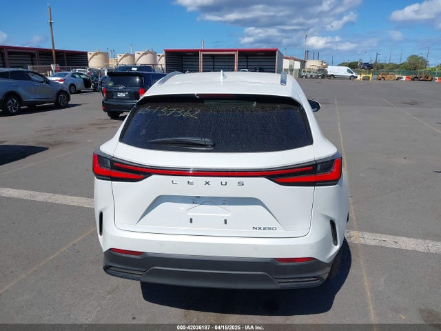 Lexus Nx 250 Premium 2025 JTJGDCAZ2S2020658 Image 17